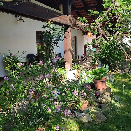 Pensjonat Pensiunea La Dolce 3*
