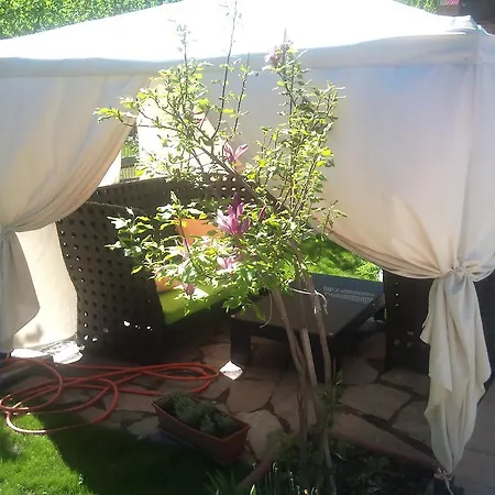 Pensjonat Pensiunea La Dolce Băile Herculane