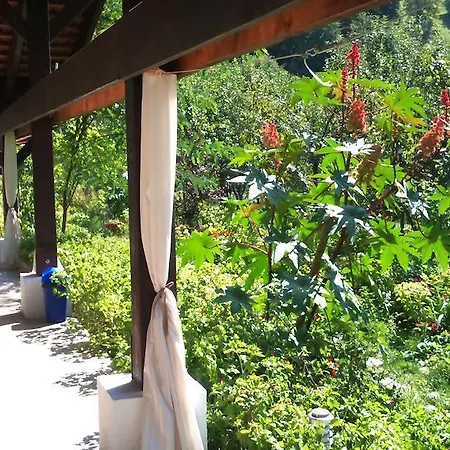 Pensiunea La Dolce 3* Băile Herculane