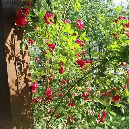 Pensiunea La Dolce Pensjonat Băile Herculane