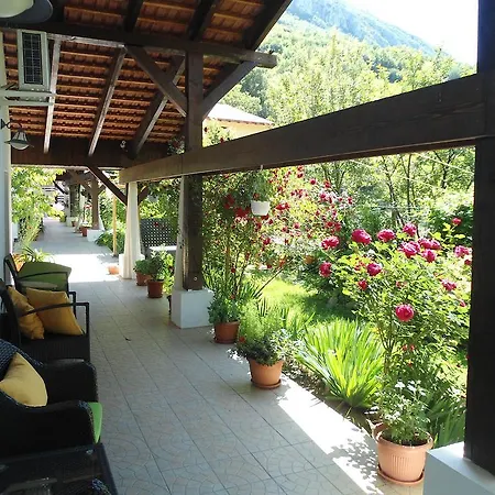 Pensiunea La Dolce Pensjonat 3*
